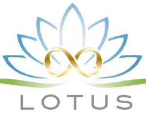 2019 The Lotus Initiative